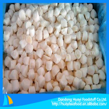 frozen scallop bay scallop supplier